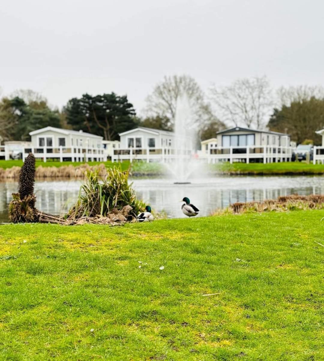 Swift Retreat - Haven Wild Duck